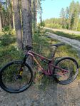 Santa Cruz Tallboy 2019 29"