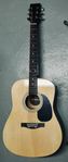 Akustisk gitarr med fodral