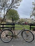 Cykel