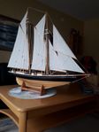 Bluenose & Mary Ann