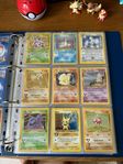 pokemon samling 