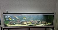 Akvarium 600 liter