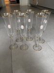 glas champagne 