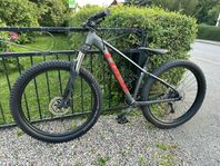 Trek Roscoe 6