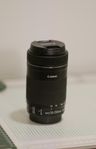 Canon EF-S 55-250mm f/4-5.6 IS STM