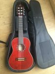 Gitarr - Ortega R121-1/4WR