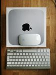 Mac Mini M2