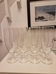 12 st ölglas på fot