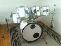 Mapex Orion Maple
