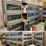 Aquarieställning