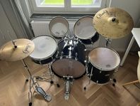Trumset Pearl