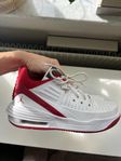 Basketskor Nike air Jordans