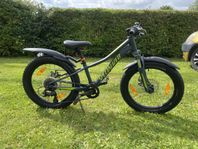Specialized Rip Rock 20”