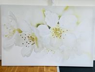 IKEA Pjätteryd Canvas 118x78 cm