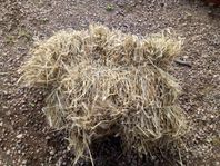 ekologisk råghalm i småbal