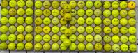 100st Gula golfbollar