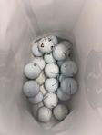 Prov1 Bollar