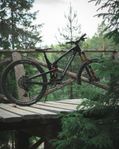 Propain Tyee CF 29 2023