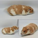 Guldhamster Hona 