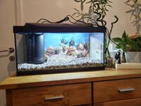 Akvarium 54 L med alla tillbehör 