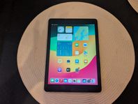 Apple iPad