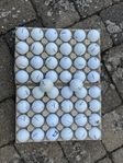 50st Titleist NXT Golfbollar
