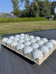 50st Titleist Pro V1/Pro V1X Golfbollar