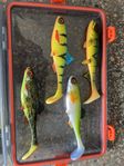 fiskedrag