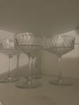SÄLLSKAPLIG champagneglas, 4 stycken