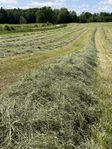 Hösilage 