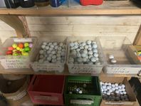 Golfbollar för alla!
