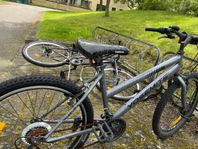 cykel 