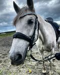 SNÄLLT PRE STO TILL SALU.