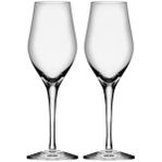Orrefors Sense champagneglas 2-pack - dricksglas