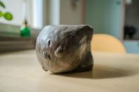 Höggravid kruka