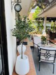 Hyr vårat Hus med egen pool i Mae Phim , Bali Residence