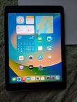 Apple iPad 16.5 i mycket gott skick