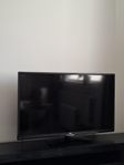 TV JVC 43''