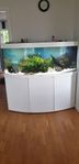 Juwel akvarium 450 liter