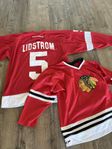 NHL tröjor