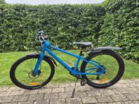 Mountainbike 24 tum