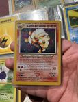 light arcanine