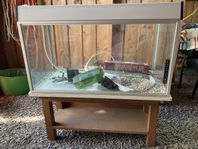 akvarium