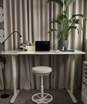 Ikea Skrivbord (Sitt/stå)