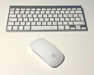 Tangentbord och mus, Apple