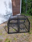 Hundbur, Robust