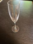 12 champagneglas