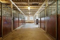 Stall / Box-plats