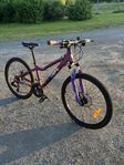 Mountainbike 24”