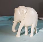 Antik Afrikansk Elefant Afrika